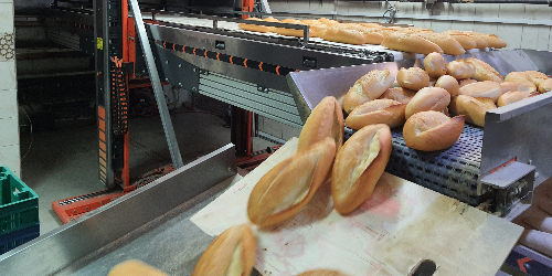 Tekli ekmek 