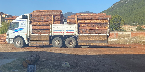 COŞAROĞLU nakliyat 