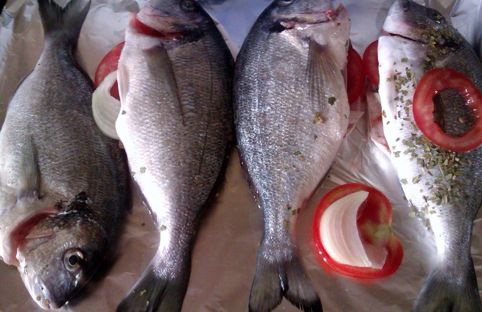 Ayvalık Balık Çeşitleri Satışı & Ergin Balıkçılık