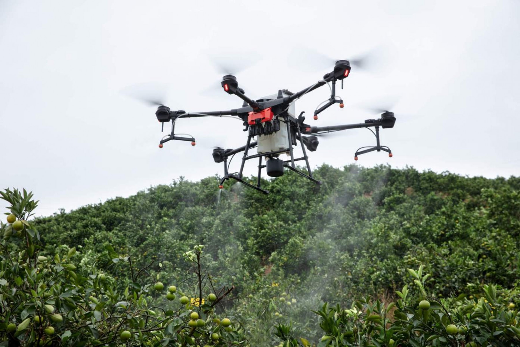Aydın Drone ile Zirai İlaçlama Hizmeti & ŞANDEMİRLER ZİRAİ İLAÇLAMA 