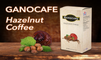 sultangazi GANOCAFE HAZELNUT COFFEE