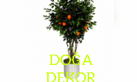 Yapay portakal agacı