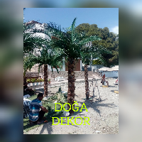 YUNUSEMRE DEKORATİF BİTKİ SATIŞI DOĞA DEKOR