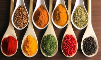 BAHARAT 