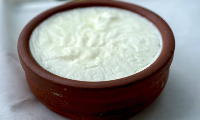 YOĞURT
