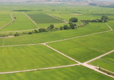 KİRALIK TARLA