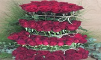 Bakirköy kırmızı güller 