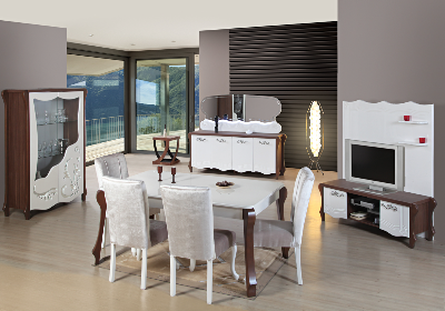 MOBİLYA TASARIM