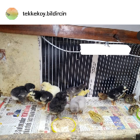 TEKKEKÖY ELEKTRİK ARIZA İŞLERİ ALBAYRAK