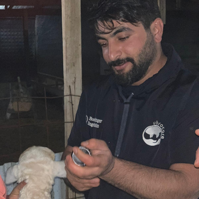Aksaray Veteriner Kliniği Ve Hayvan Besleme ŞAHİNOĞLU VETERİNER KLİNİĞİ