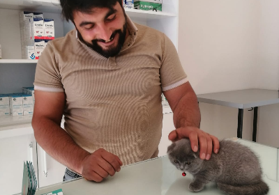 HAYVAN BESLEME