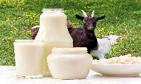 BURSA Süt Ürünleri