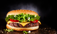 HAMBURGER SATIŞI HİZMETİ 