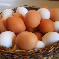 Cihanbeyli Melor Organik Yumurta