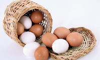 GAZİANTEP Toptan Yumurta Satışı