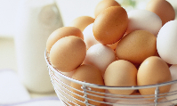 GAZİANTEP Toptan Yumurta Satışı