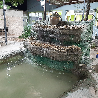 Karatay Izgara ve Kebap Salonu & Er Anıl Izgara Ayhan Usta
