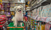 antakya Pet Shop Ürünleri