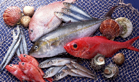 Sariyer Balık Ürünleri