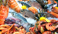 Sariyer Balık Ürünleri