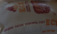 Gezen tavuk yumurtası