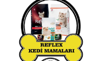 Pet Shop Malzemeleri