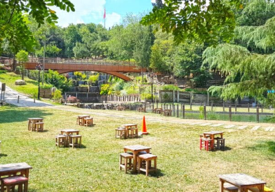 Piknik Alanı