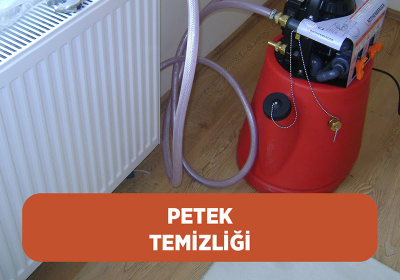 Petek Temizliği