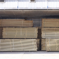 Bucak Orman Ürünleri Nakliyat Ve Taşımacılık Hizmeti & Coşaroğlu Nakliyat Orman Ürünleri