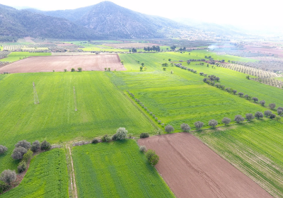 Kiralık Satılık Arsa