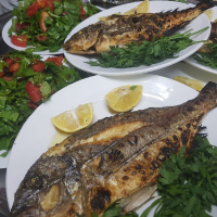 افضل مطعم ومقهى عربي في انطاكيا - مطعم تل النجوم 