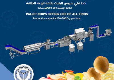 GAZİANTEP Pellet chips production line