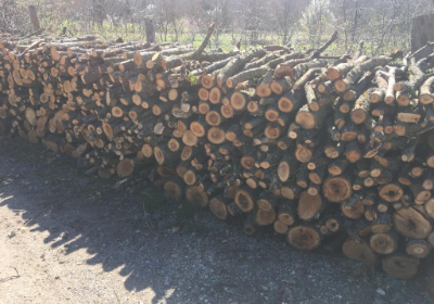 Seyhan  Toptan Odun Satışı