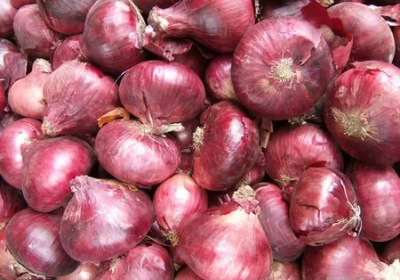 Soğan Satışı