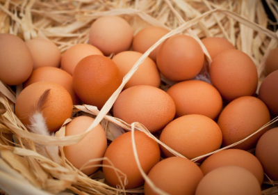 ADANA Doğal Yumurta Satış