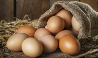 ADANA Doğal Yumurta Satış