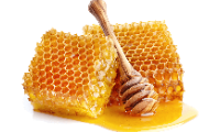 MERSİN عسل طبيعي 