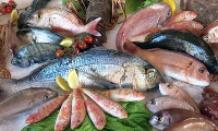 Yavuzeli Taze Balık Satışı