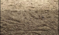 Gübre Satışı