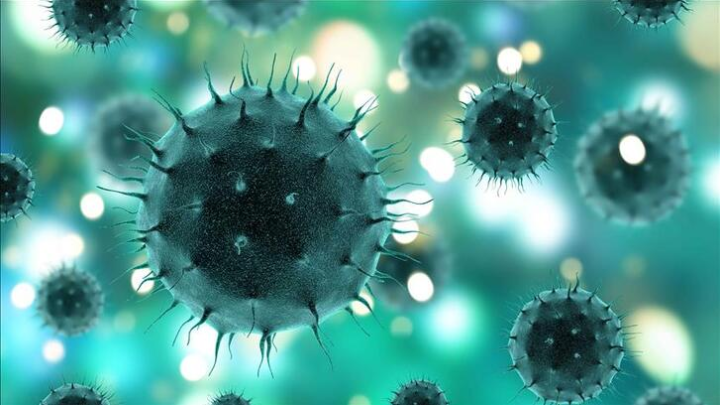 Virüs ve Biyolojik Savaş